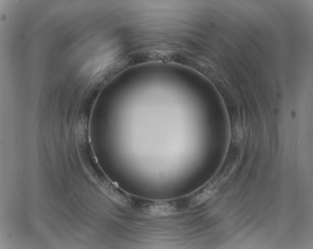 X0000063450468200601201225