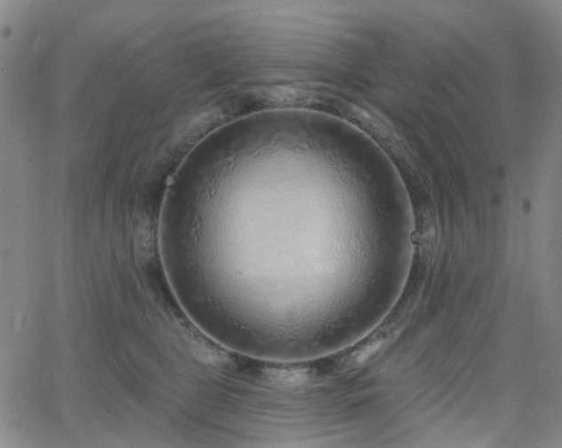 X0000063450469200601201225