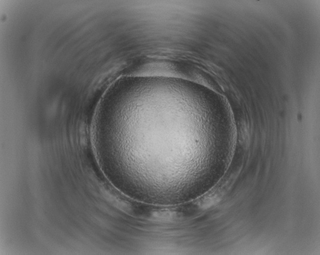 X0000063450470200601201225