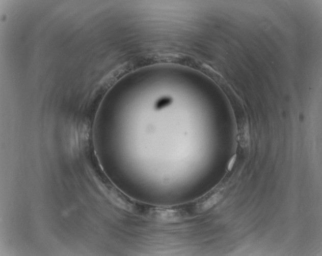 X0000063450472200601201225