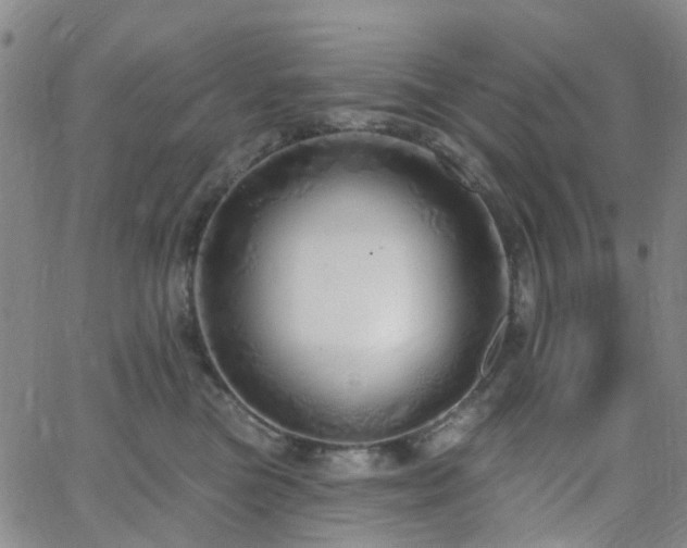 X0000063450473200601201225