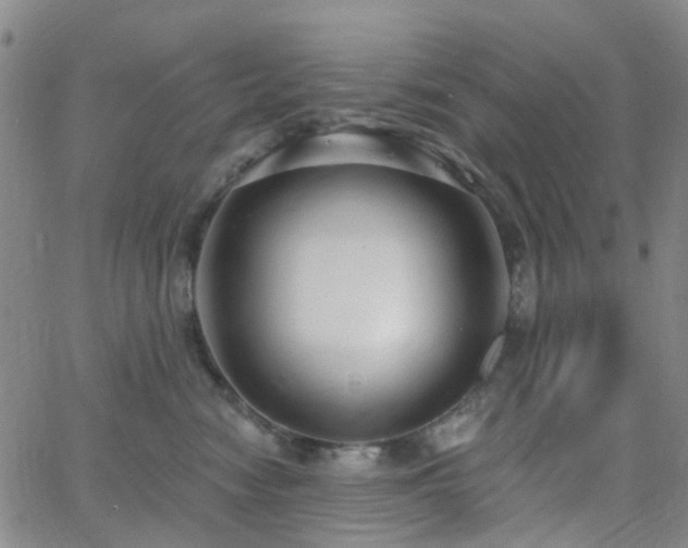 X0000063450474200601201225