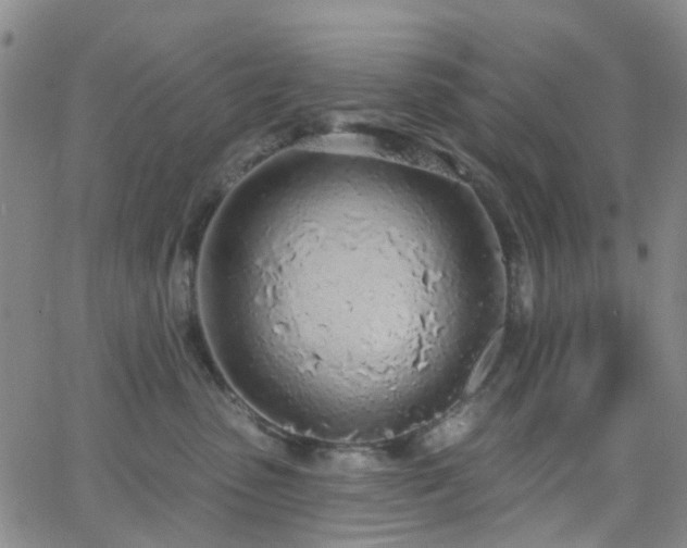 X0000063450475200601201225