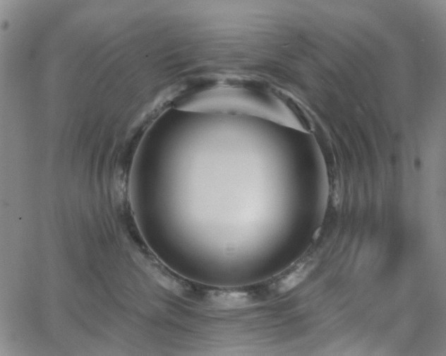 X0000063450476200601201225