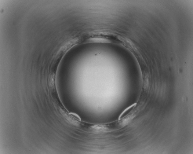 X0000063450477200601201225