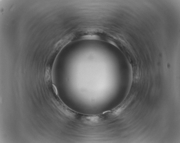 X0000063450478200601201225