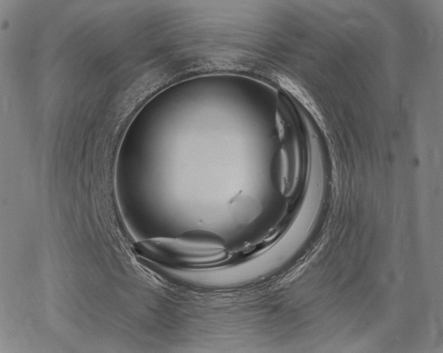 X0000063450481200601201224