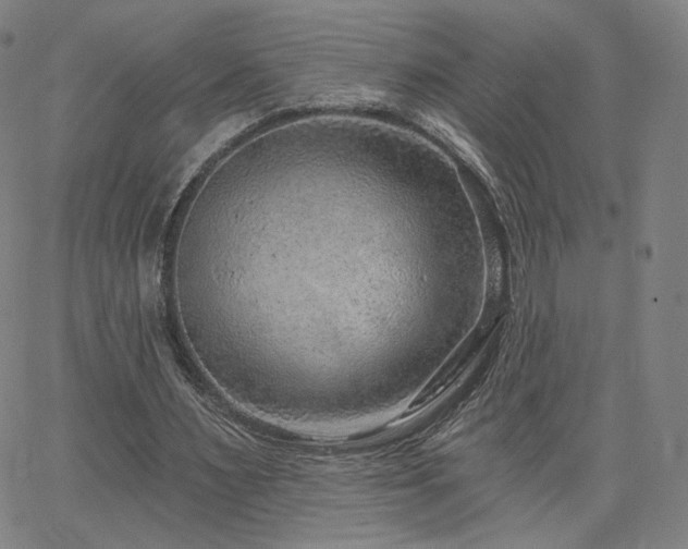 X0000063450483200601201224