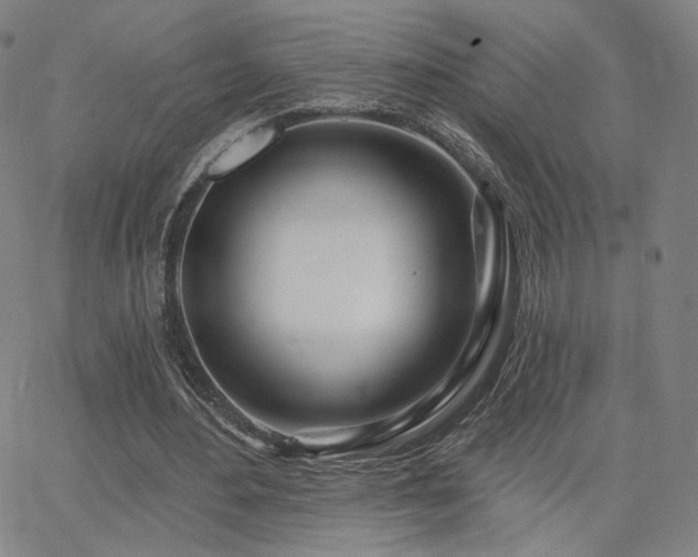 X0000063450484200601201224