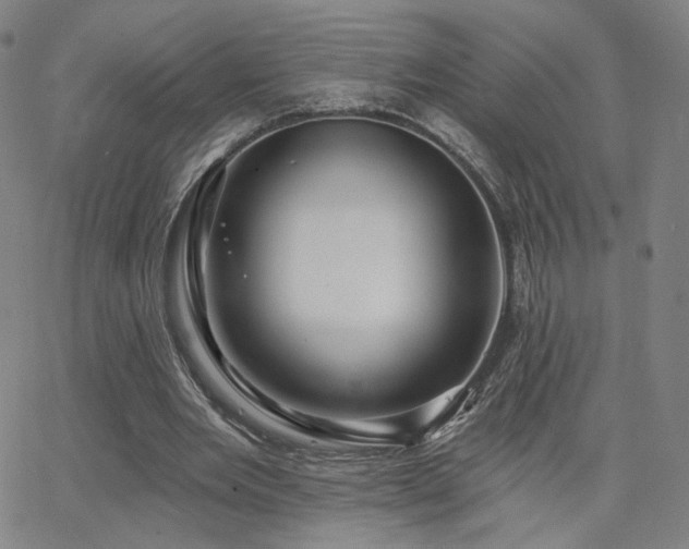 X0000063450485200601201224