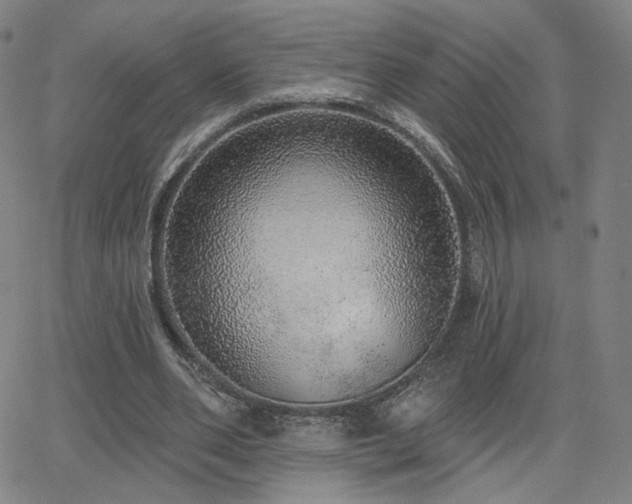 X0000063450486200601201224