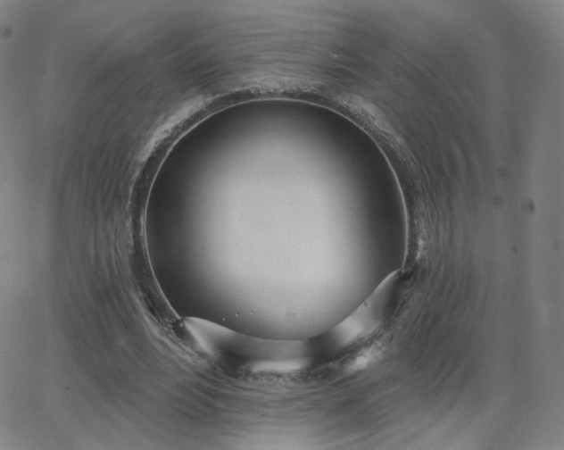 X0000063450488200601201224