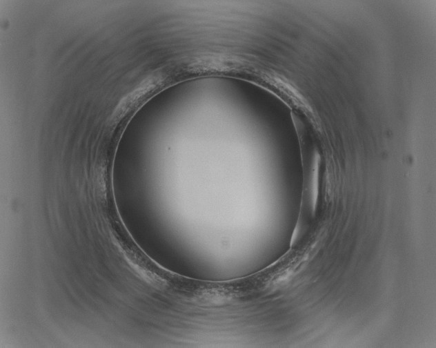 X0000063450489200601201224