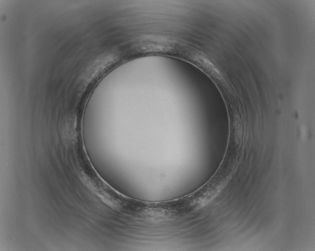 X0000063450490200601201224