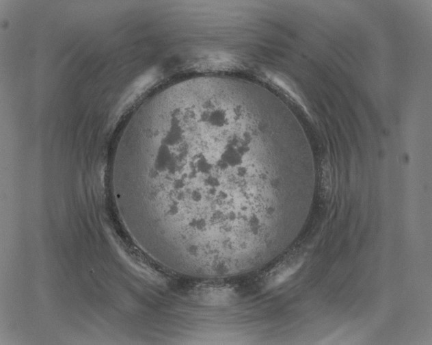 X0000063450491200601201224