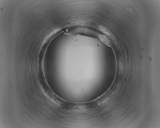 X0000063450492200601201224