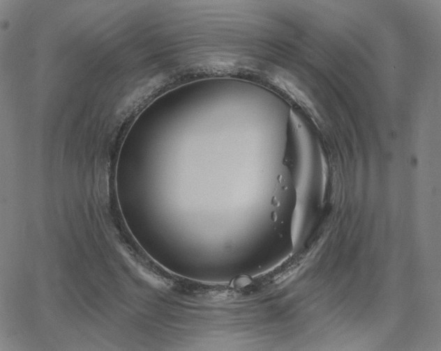 X0000063450493200601201224