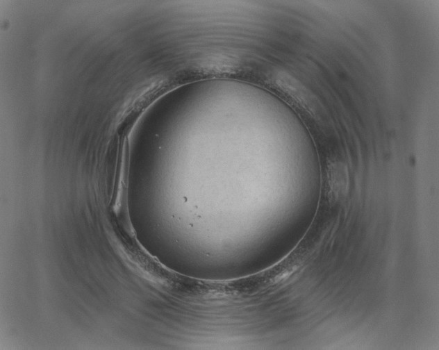 X0000063450494200601201224