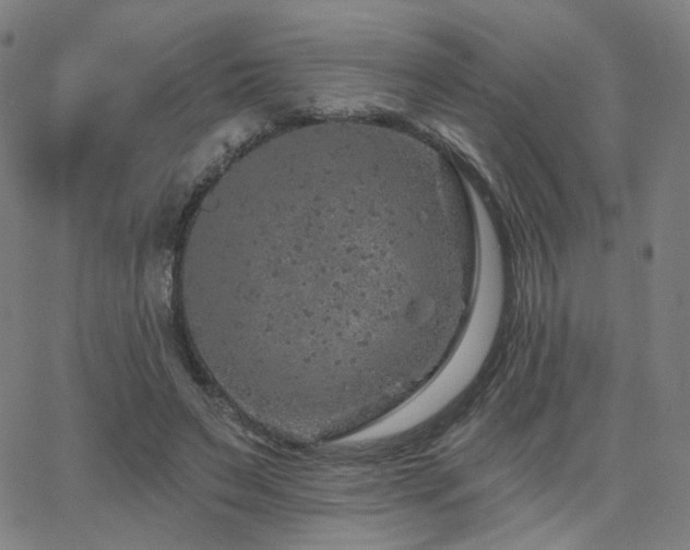 X0000063450495200601201224