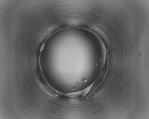 X0000063450496200601201224