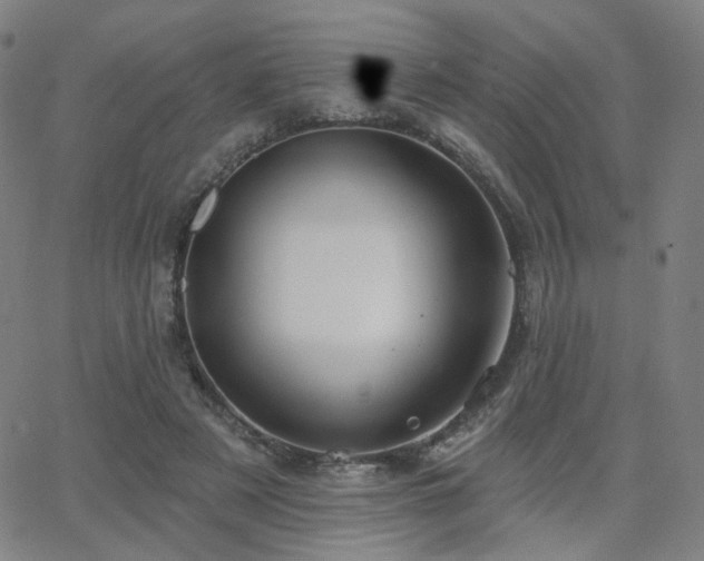 X0000063450497200601201224