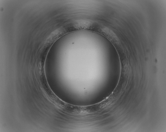 X0000063450498200601201224