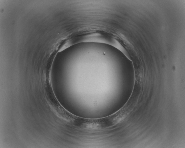 X0000063450500200601201224