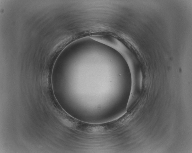 X0000063450501200601201224