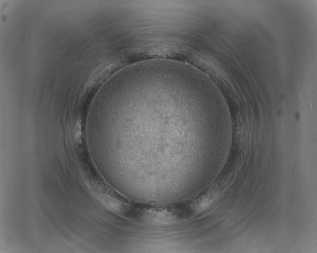 X0000063450502200601201224