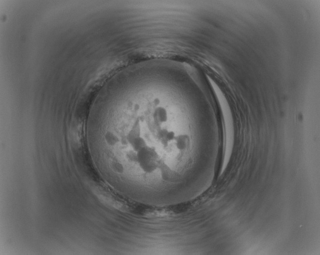 X0000063450503200601201224