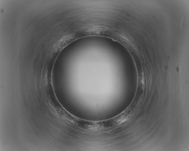 X0000063450504200601201224