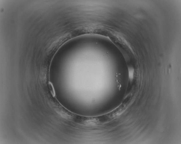 X0000063450505200601201224