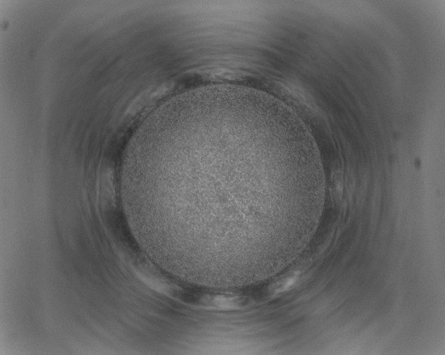 X0000063450506200601201224