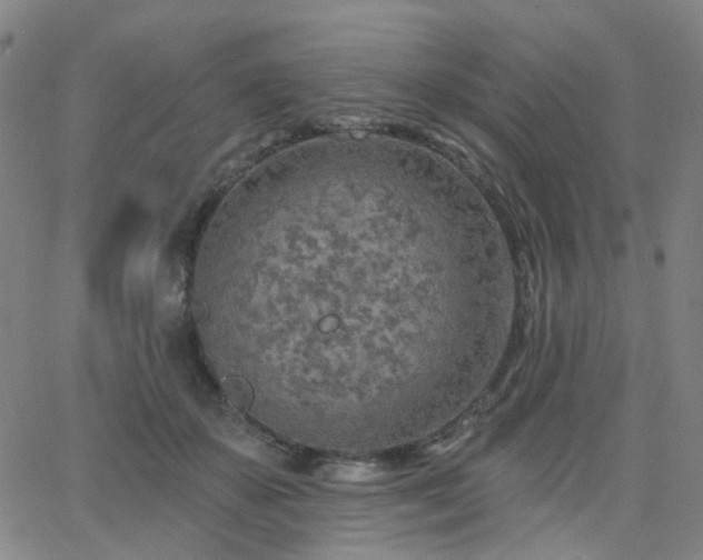 X0000063450507200601201224