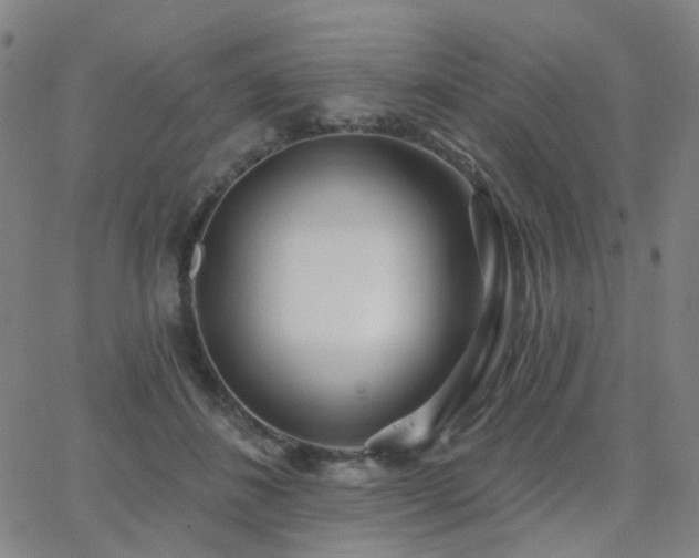 X0000063450508200601201224