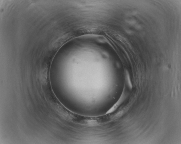 X0000063450509200601201223