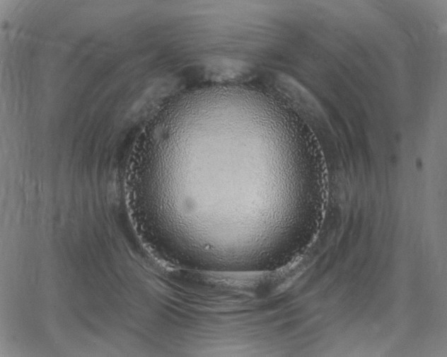 X0000063450510200601201223