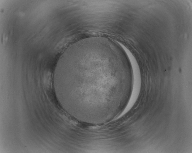 X0000063450511200601201223