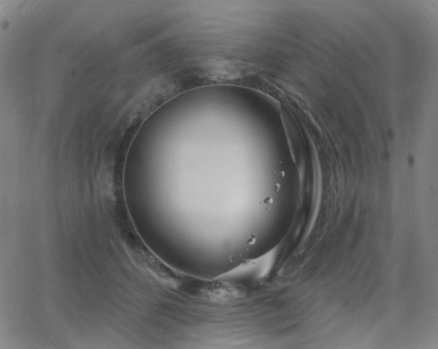 X0000063450512200601201223