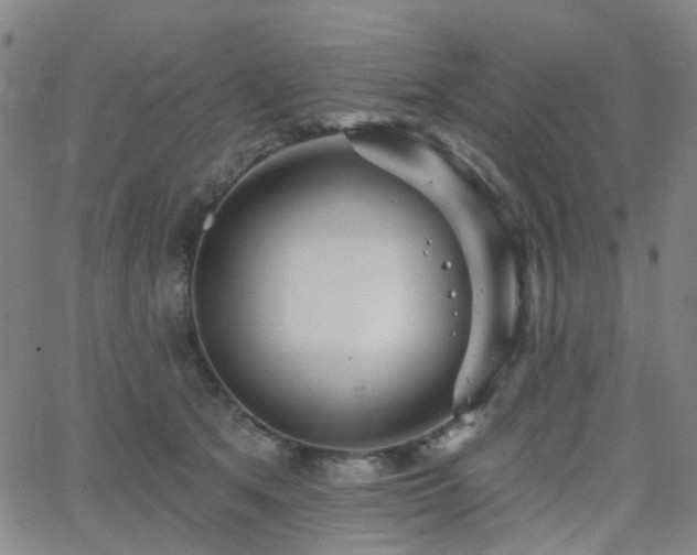 X0000063450513200601201223