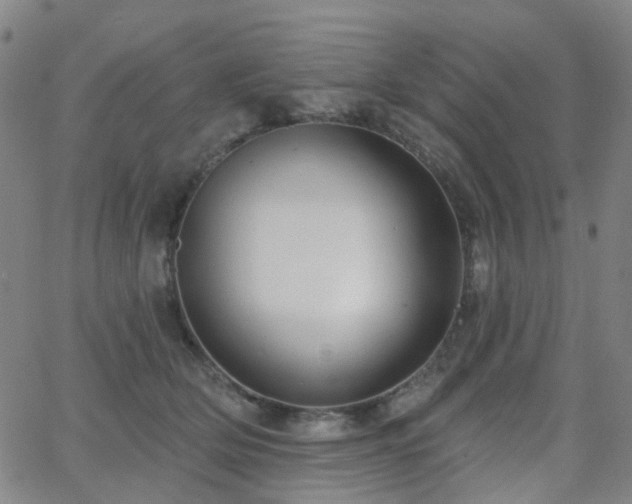 X0000063450514200601201223