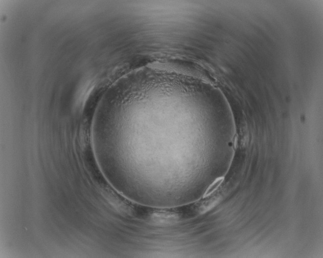 X0000063450515200601201223