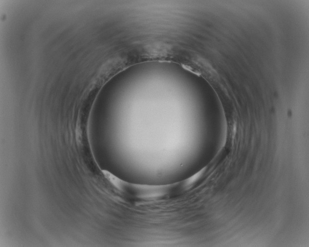 X0000063450516200601201223