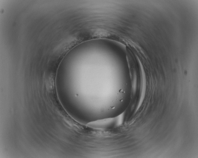 X0000063450517200601201223