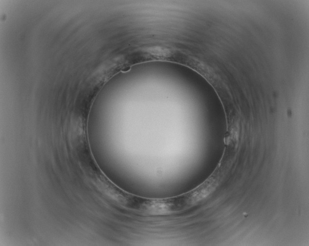 X0000063450518200601201223