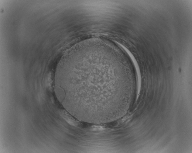 X0000063450519200601201223