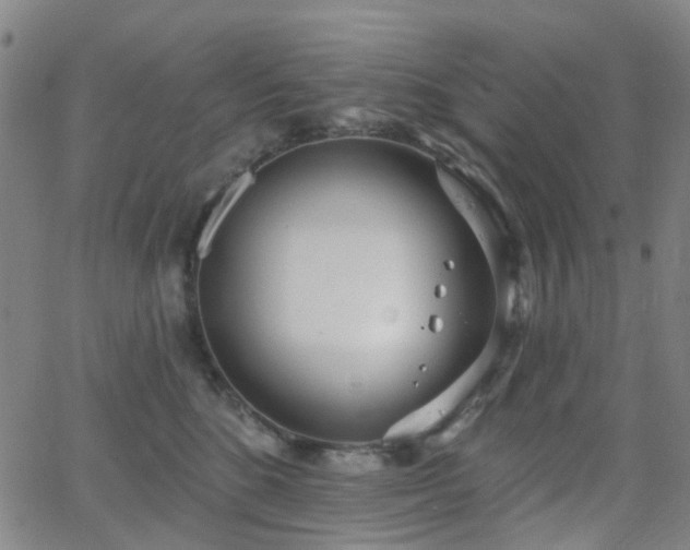 X0000063450520200601201223