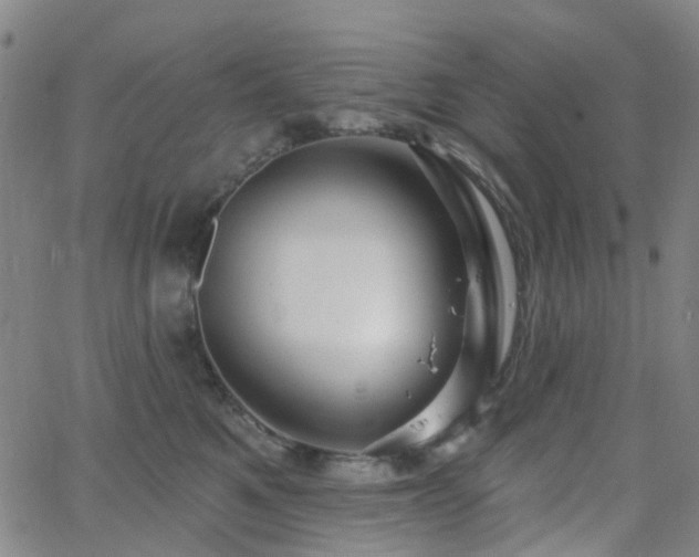 X0000063450521200601201223