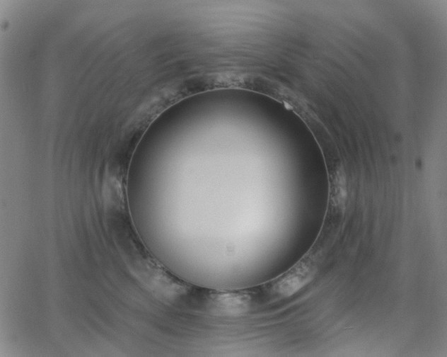 X0000063450522200601201223