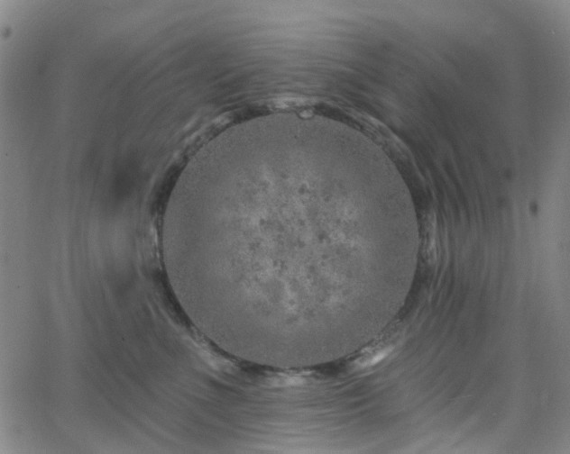 X0000063450523200601201223